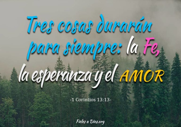 Oración Efectiva por la Unión y el Amor de mi Pareja