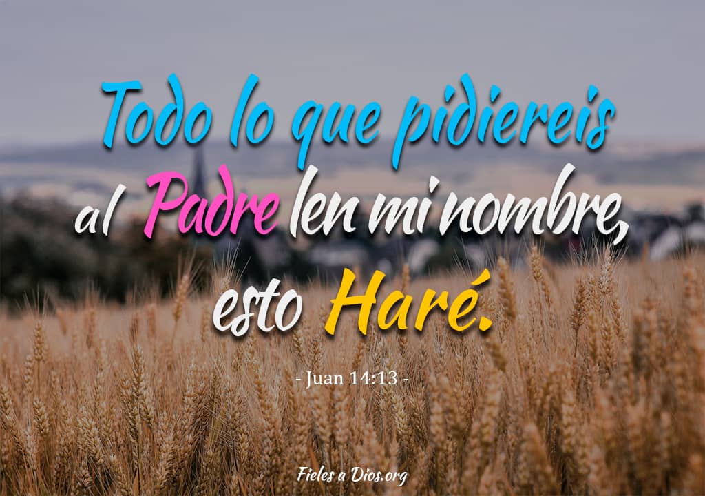 paisaje de trigo para que abunde la fe para pedir al padre