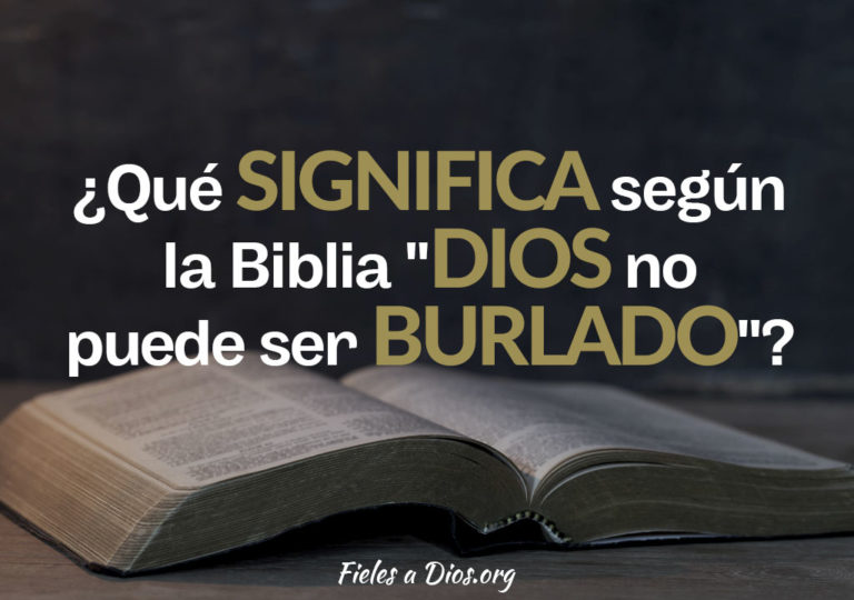 Que Significa Celia En La Biblia