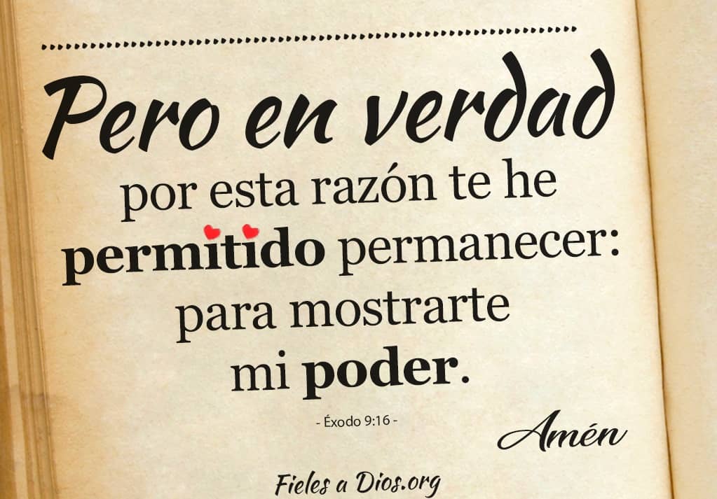 verdad por esta razon te he permitido permanecer para mostrarte mi poder