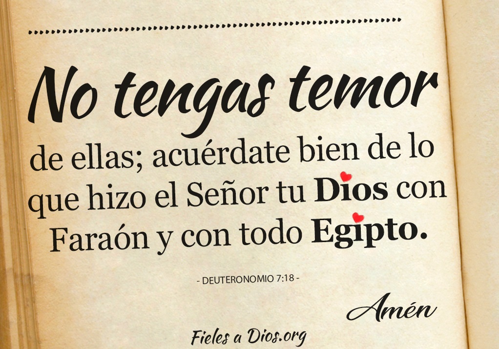 ¿Qué es el Temor a Dios y Cuáles son sus Beneficios? Fieles a Dios