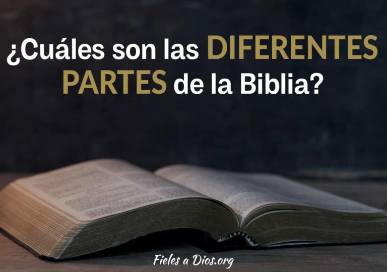 ¿Cuáles son las Diferentes Partes de la Biblia? Fieles a Dios