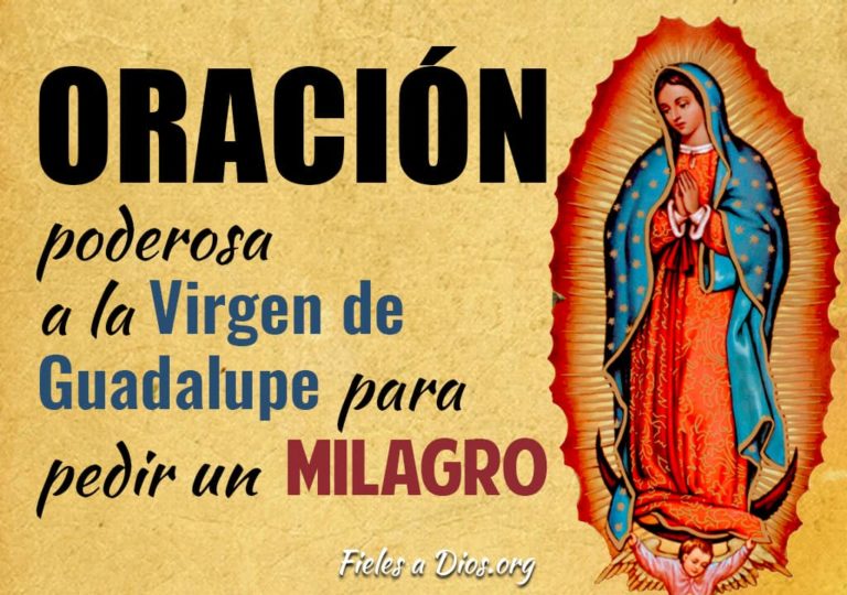 ? Oración Poderosa a la Virgen de Guadalupe para Pedir un Milagro ...