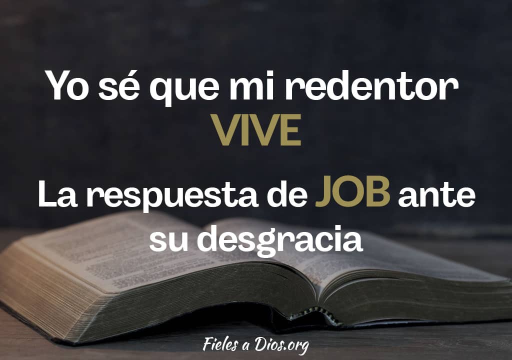 la respuesta de job ante su desgracia