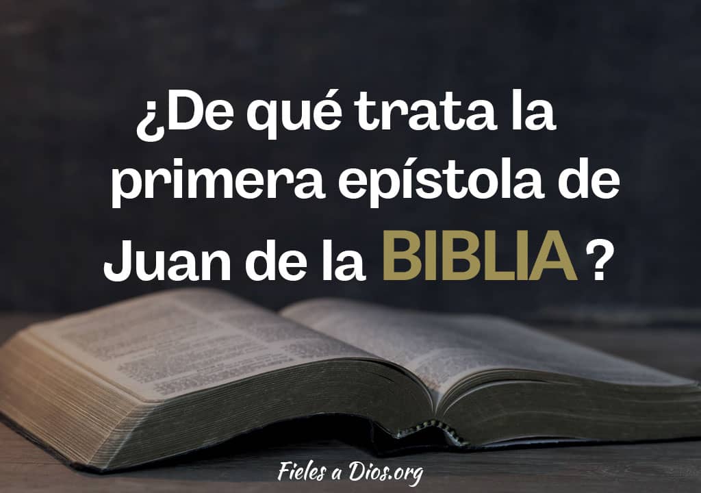 de que trata la primera epistola de juan de la biblia