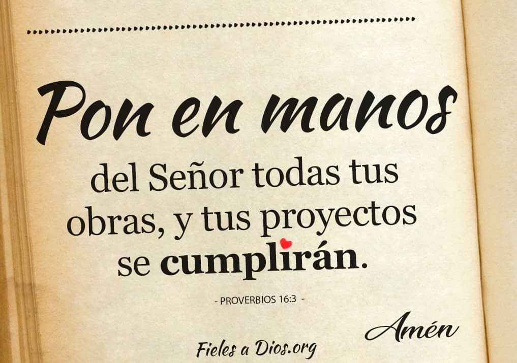 tus proyectos se cumpliran 