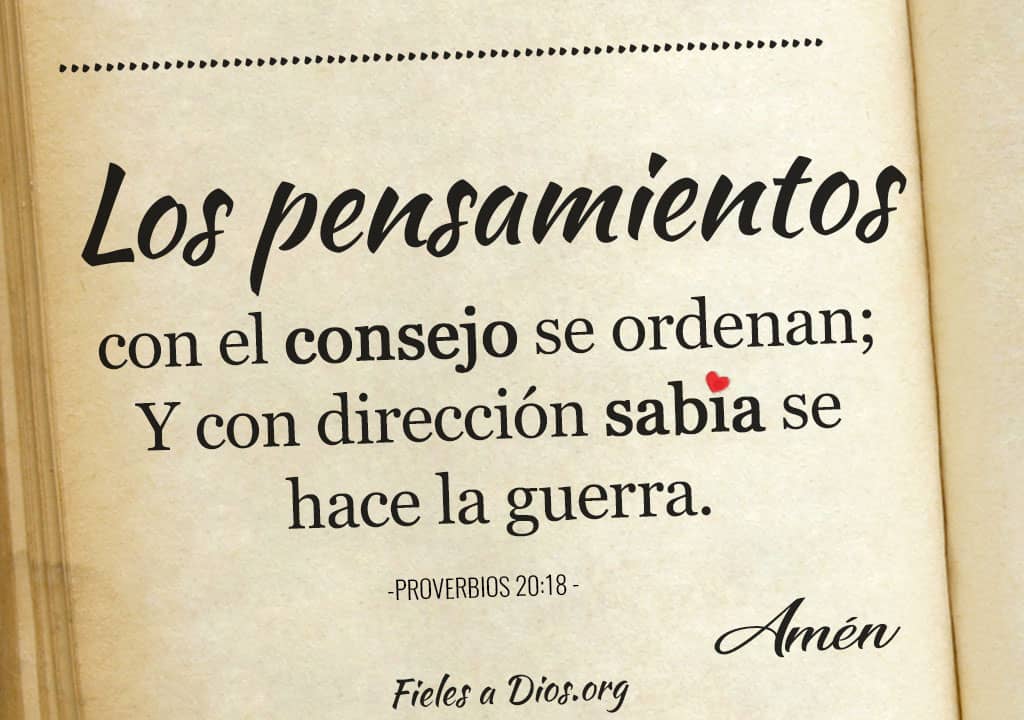 con direccion sabia se hace la guerra