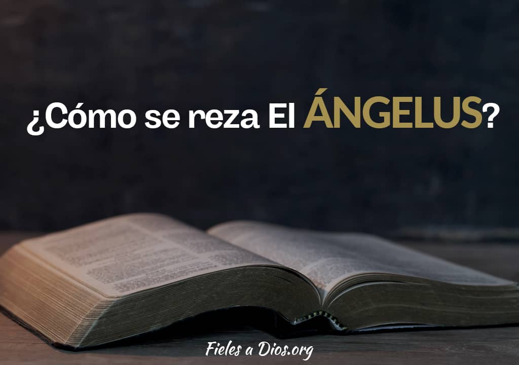 en la biblia dice como se reza angelus
