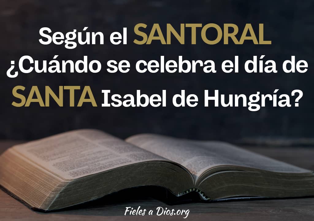 segun el santoral cuando se celebra el dia de la sant isabel de hungria