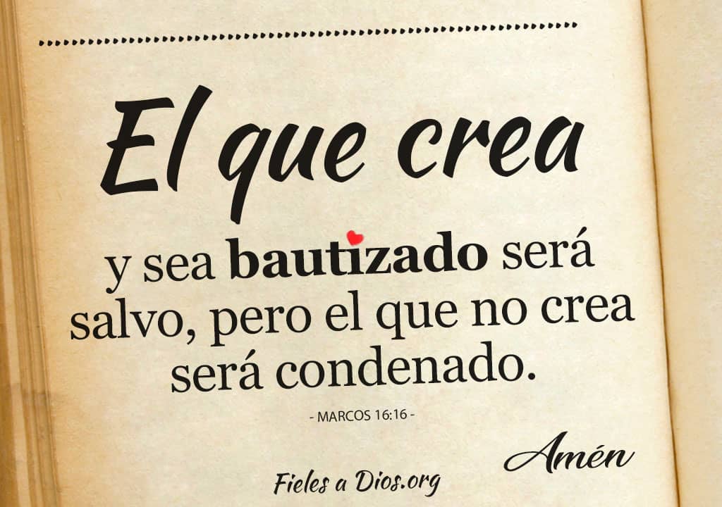 el que crea y sea bautizado sera salvo