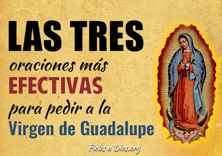 Las Tres Oraciones más Efectivas para Pedir a la Virgen de Guadalupe ...
