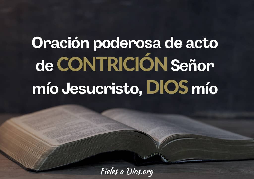 oracion de acto de contricion senor mio jesucristo