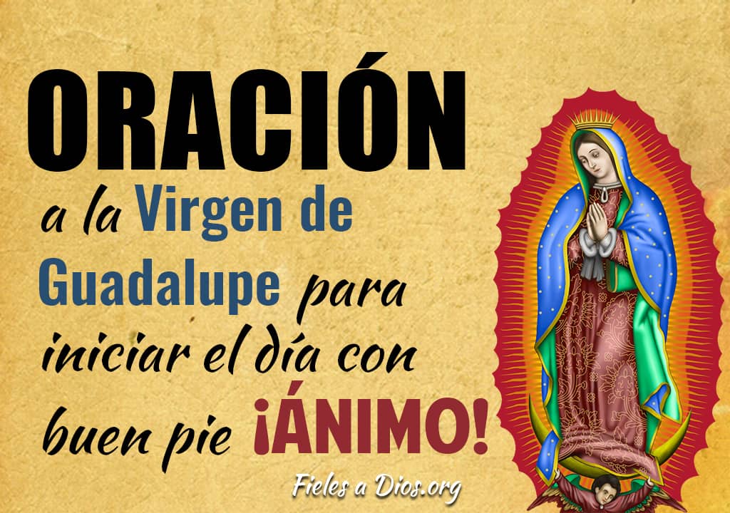 Oración a la Virgen de Guadalupe para Iniciar el día con buen pie ¡Animo! -  Fieles a Dios