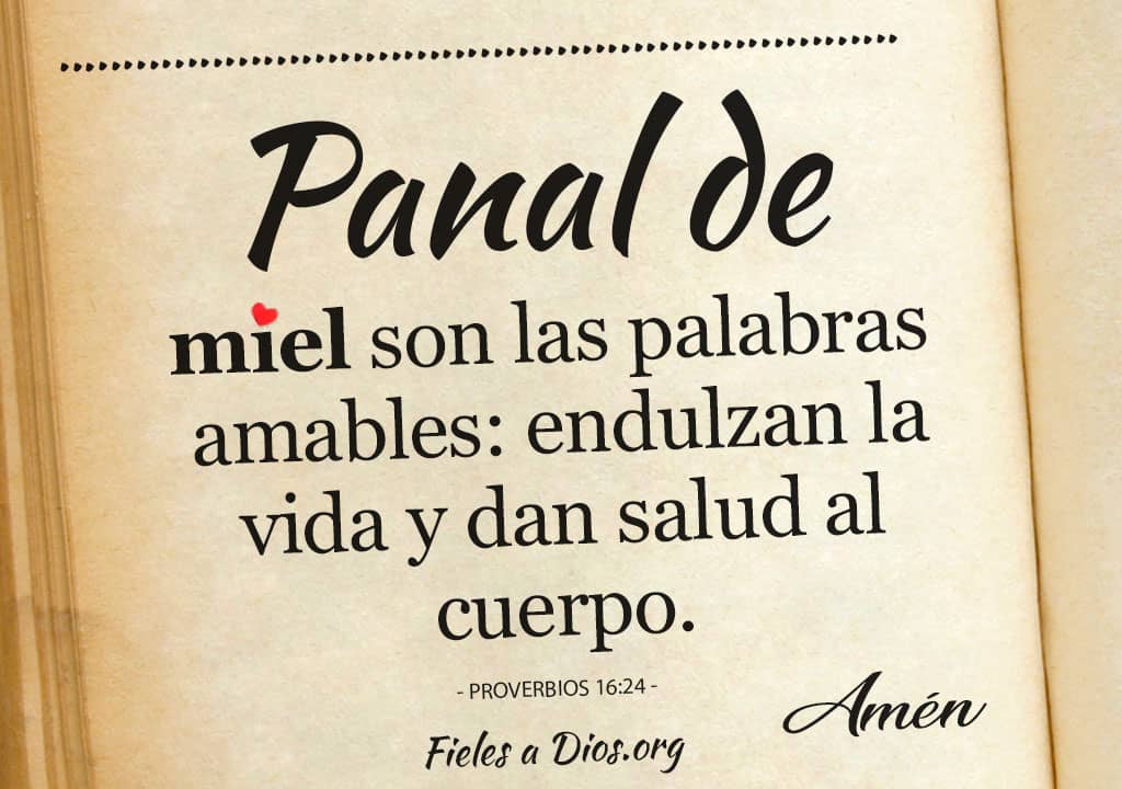 panal de miel son las palabras