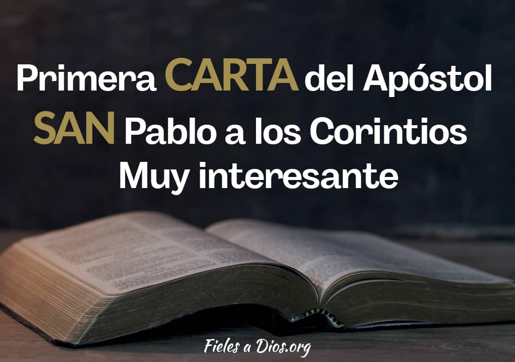 primera carta del apostol san pablo a los corintios muy interesante