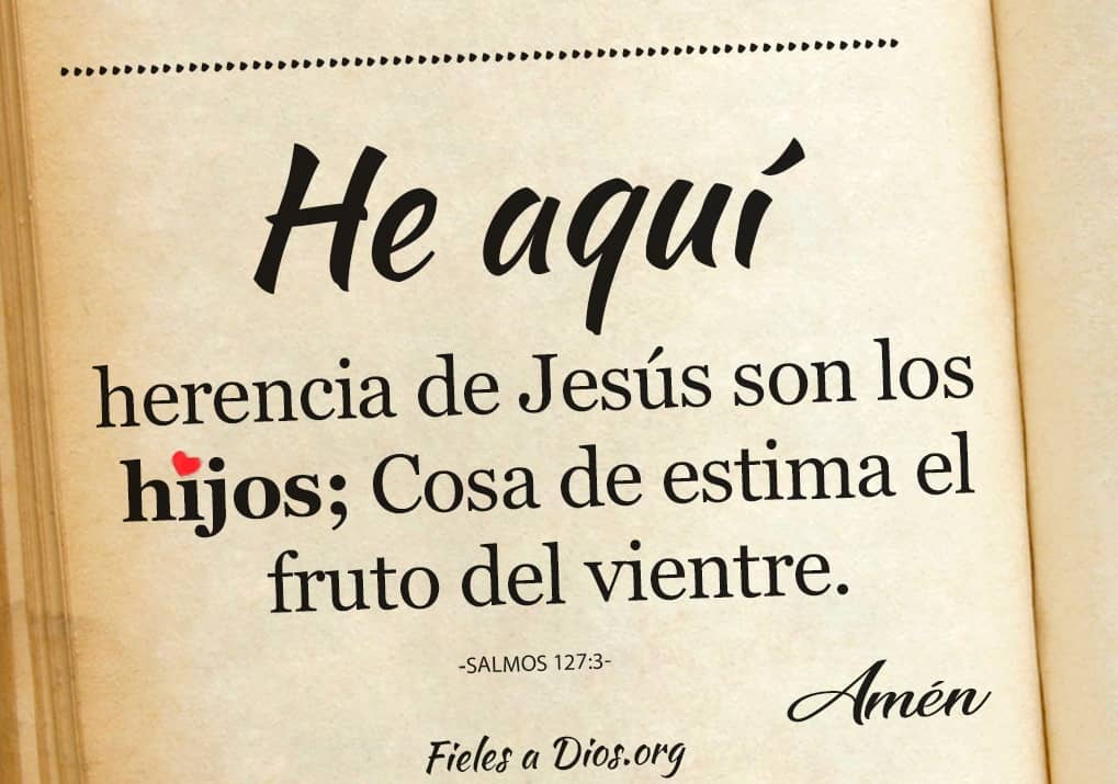 cosa de estima el fruto del vientre