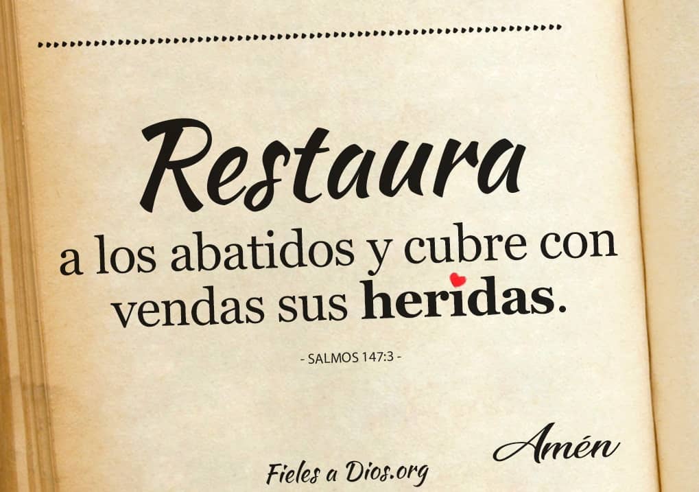 cubre con vendas sus heridas