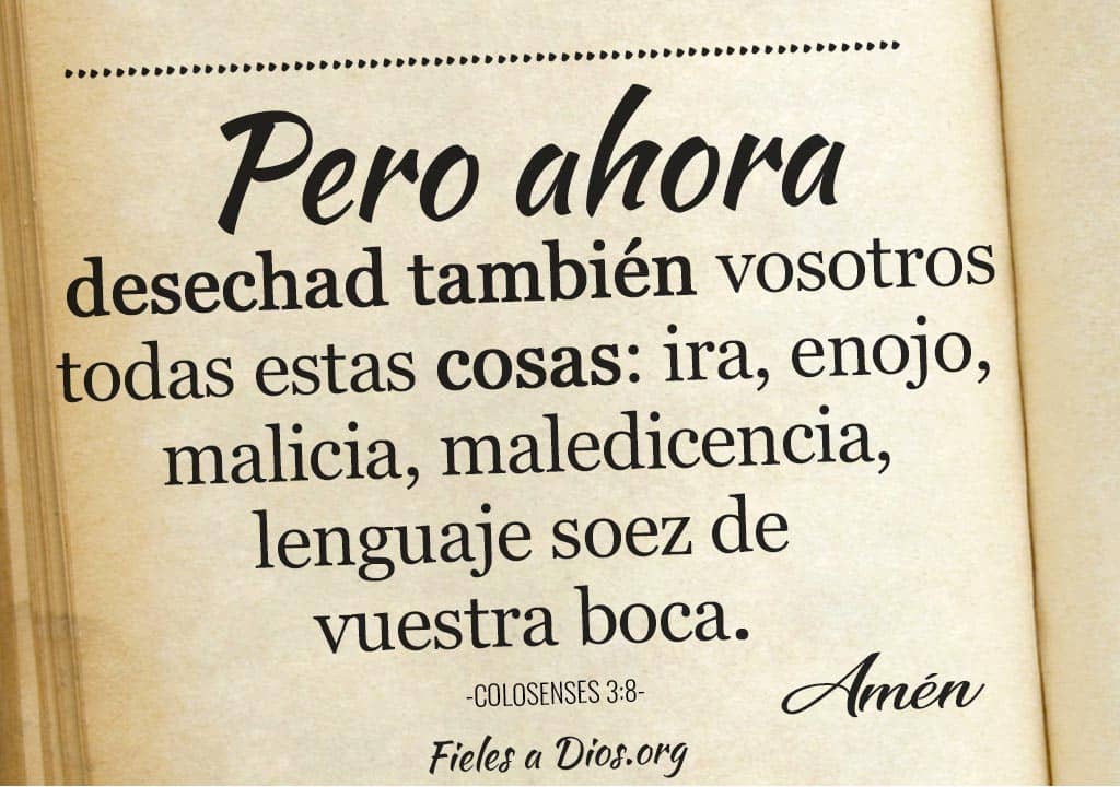 desechad ira enojo malicia lenguaje soez