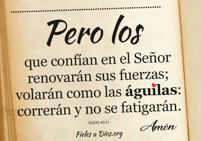 10 Versículos Bíblicos de Esperanza para Enfermos ¡Dales Fortaleza ...