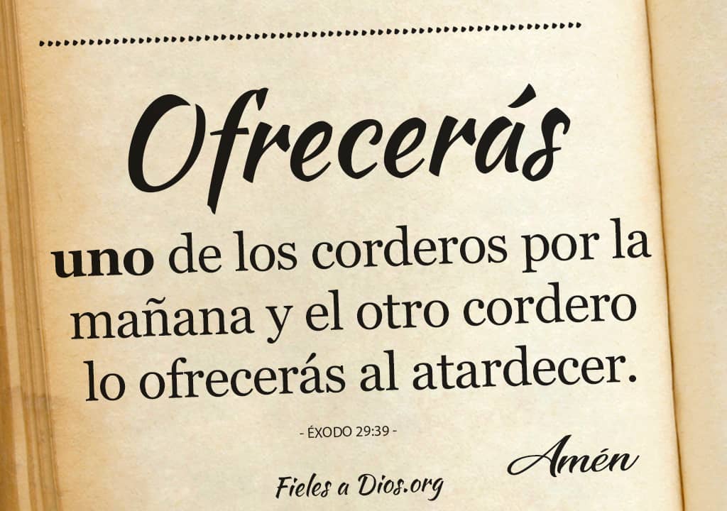 ofreceras cordero por la mañana otro al atardecer