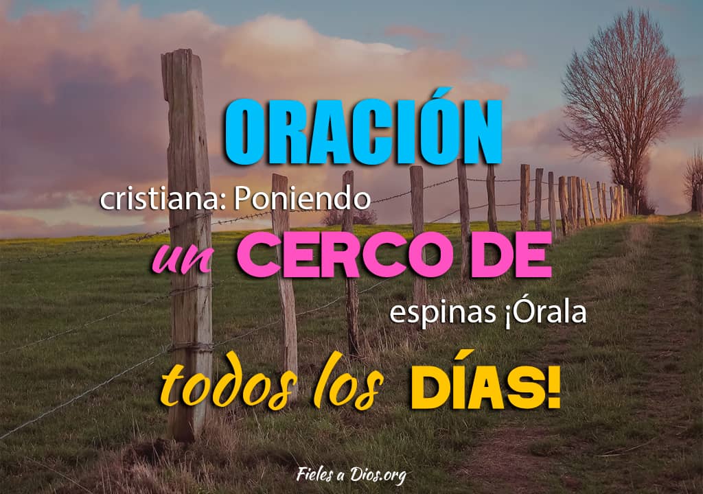 oracion poniendo cerca de espina para orar todos los dias