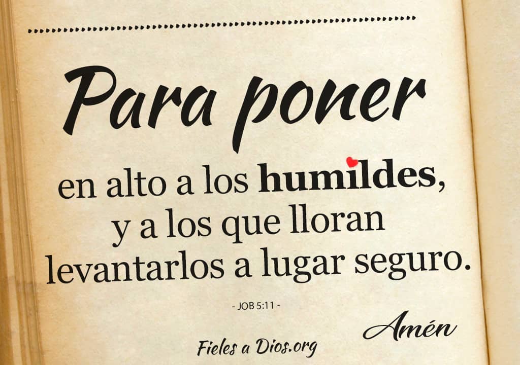 poner alto humildes lloran levantarlos a lugar seguro