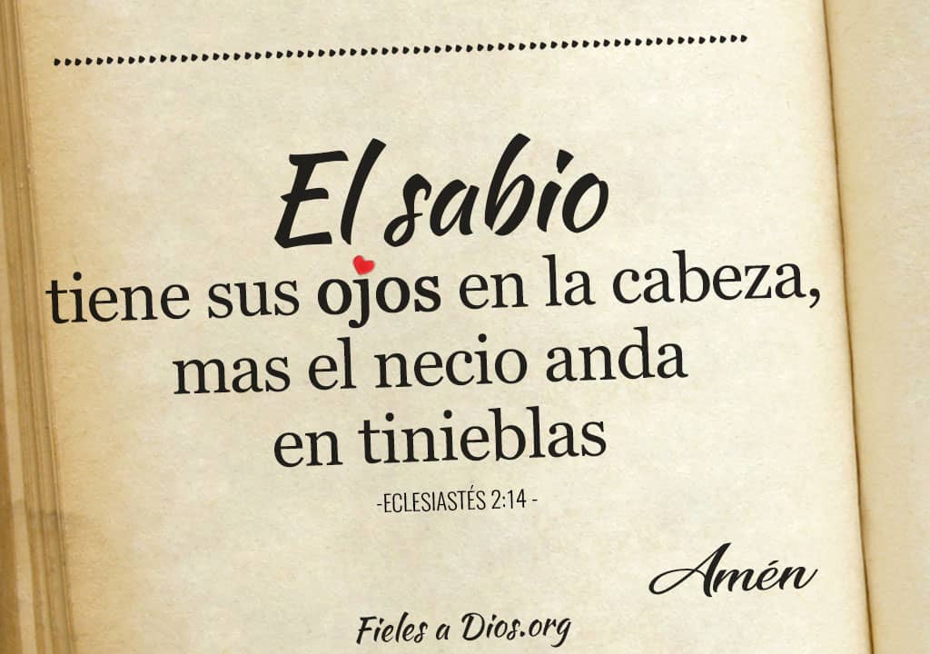 el sabio tiene sus ojos en la cabeza mas el necio anda en tinieblas