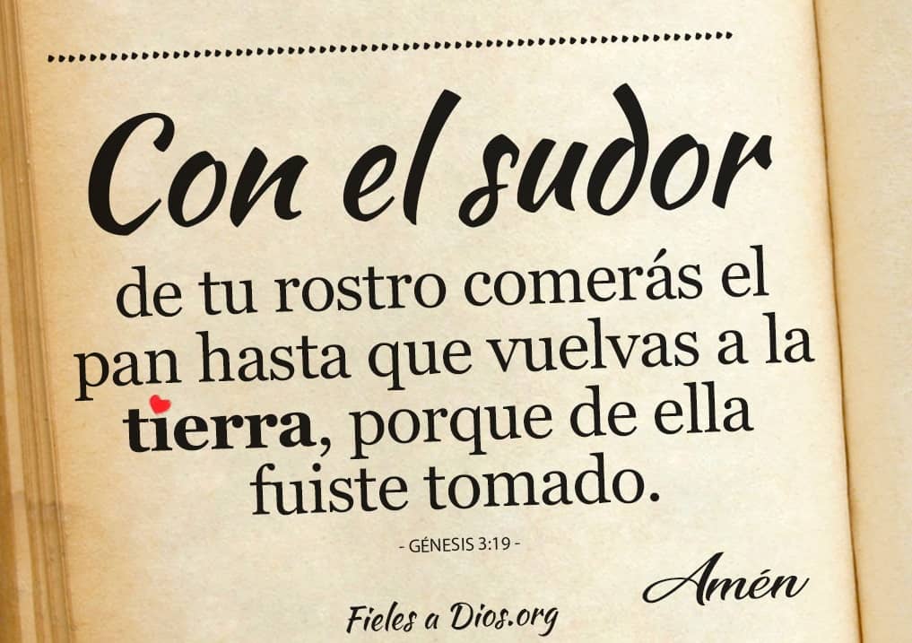 con el sudor de tu rostro comeras el pan