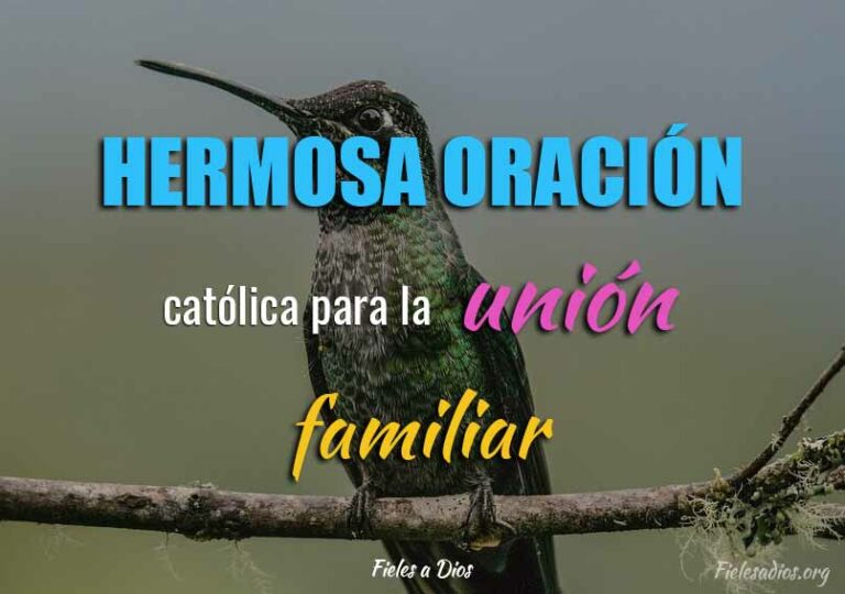 Hermosa Oración Católica para la Unión Familiar ¡Fortalece Nuestro ...