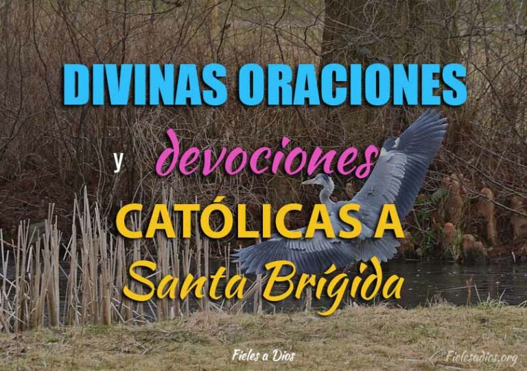 Divinas Oraciones y Devociones Católicas a Santa Brígida | Fieles a Dios