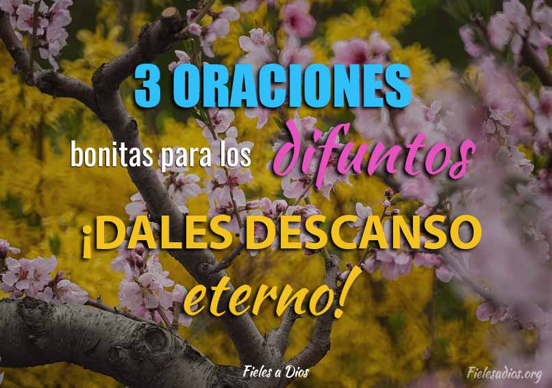 3 oraciones bonitas para los difuntos