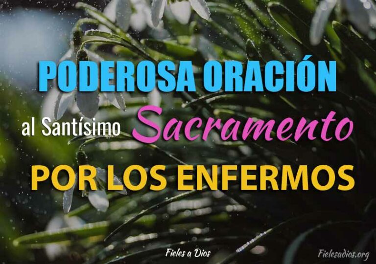 Poderosa Oración al Santísimo Sacramento por los Enfermos | Fieles a Dios