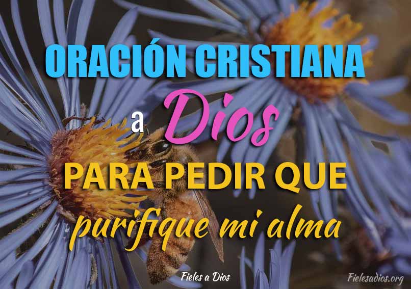 Oracion cristiana a Dios para pedir que purifique mi alma