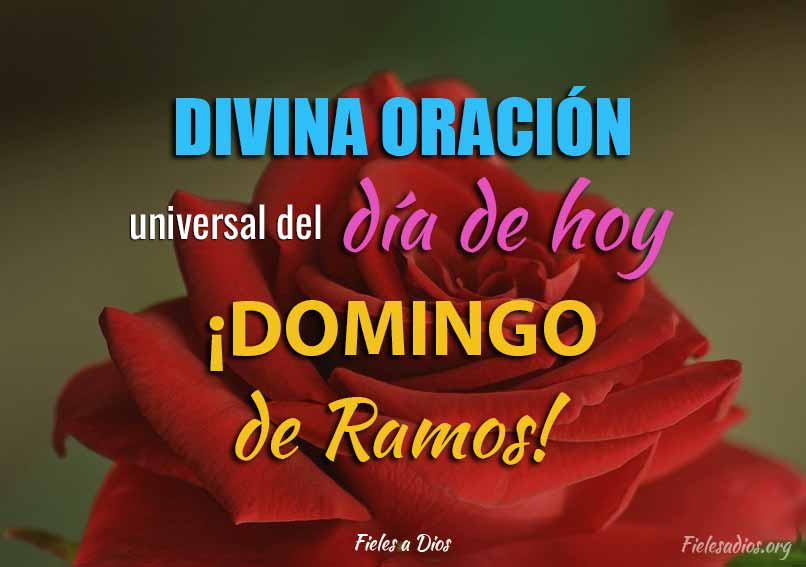 Divina oracion universal del dia de hoy Domingo Ramos